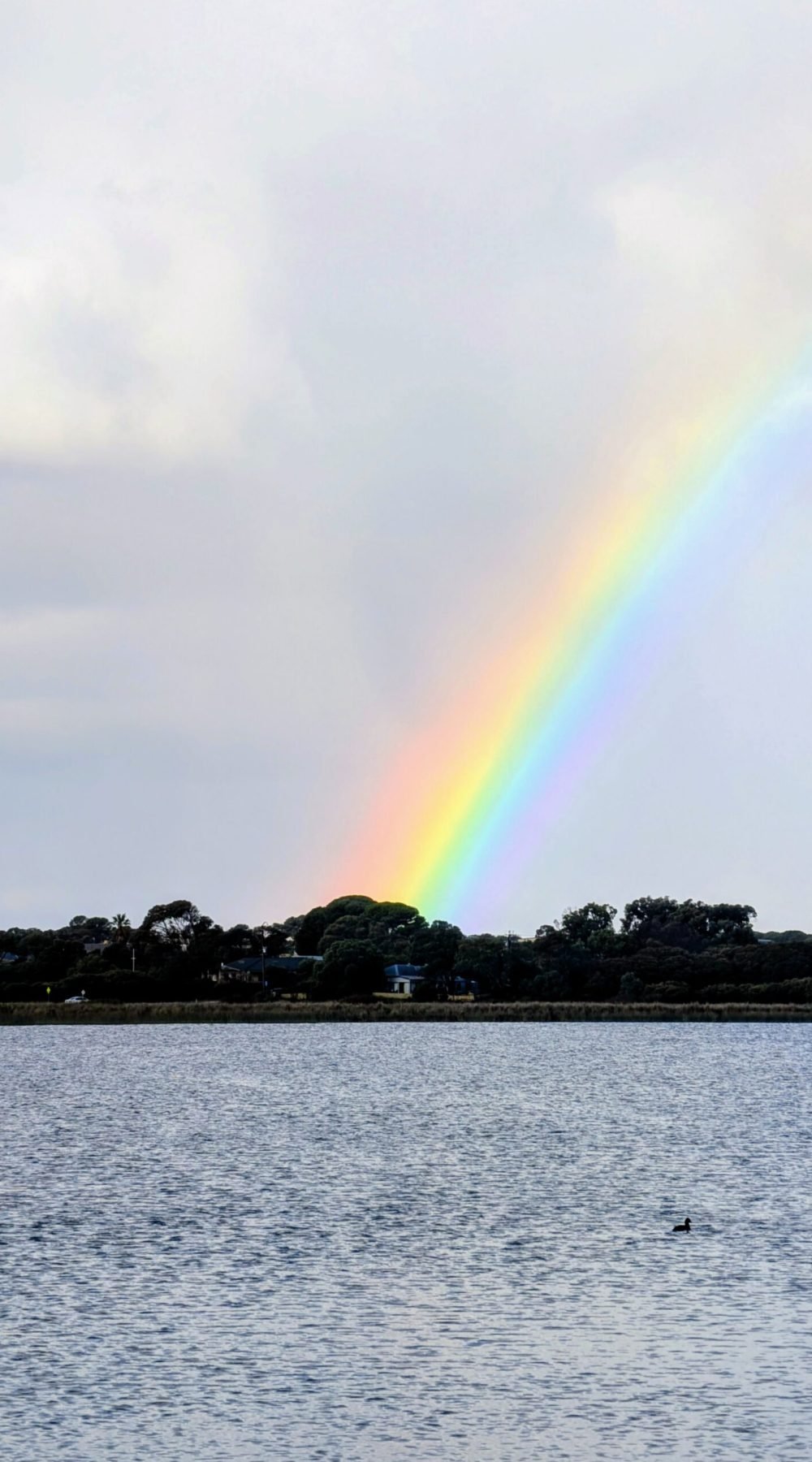 Coorong Rainbow Magic